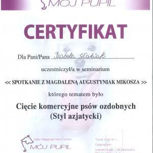 certyfikat11