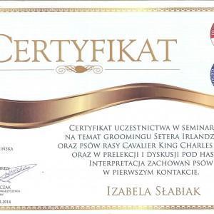 certyfikat6