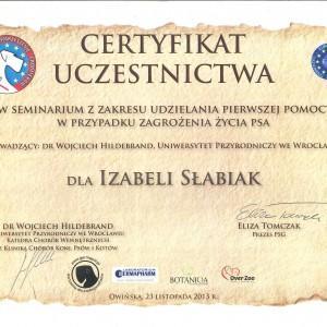 certyfikat8